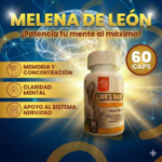 MAIA MELENA DE LEÓN (LION'S MANE)